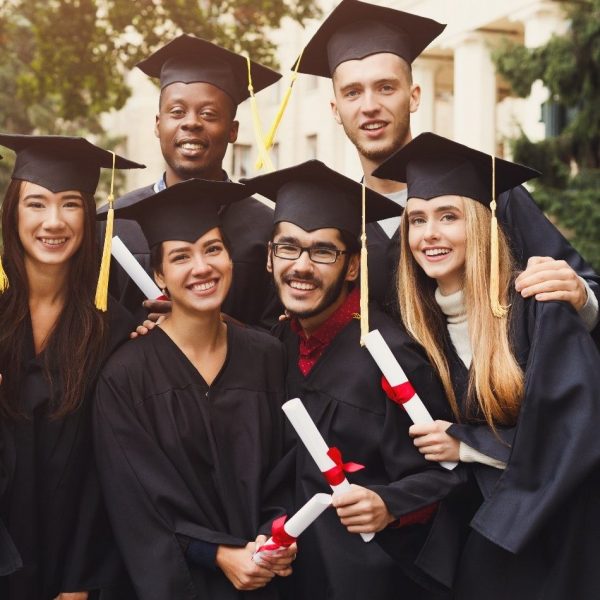 Is a Diploma in Business Management Better Than a Degree?